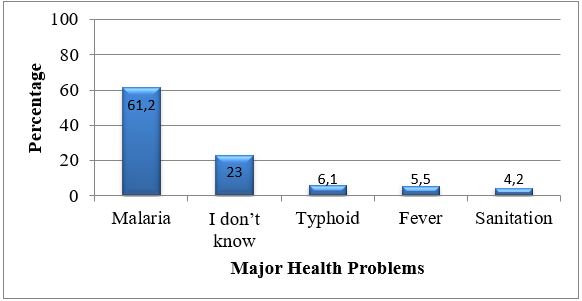 Distribution of Major Health Problems in the Communities