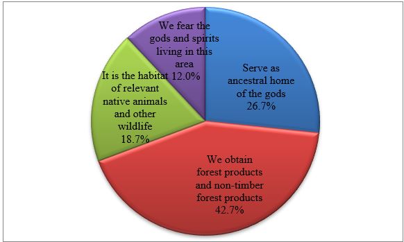 Reasons why community members protect the forest